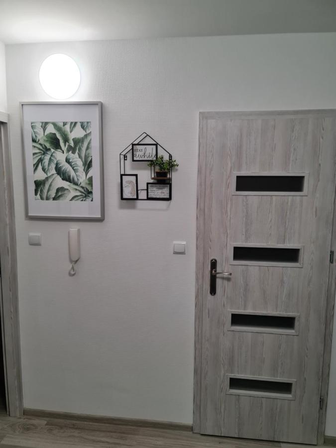 Apartament Nova Przy S3 Nowa Sol Exterior photo